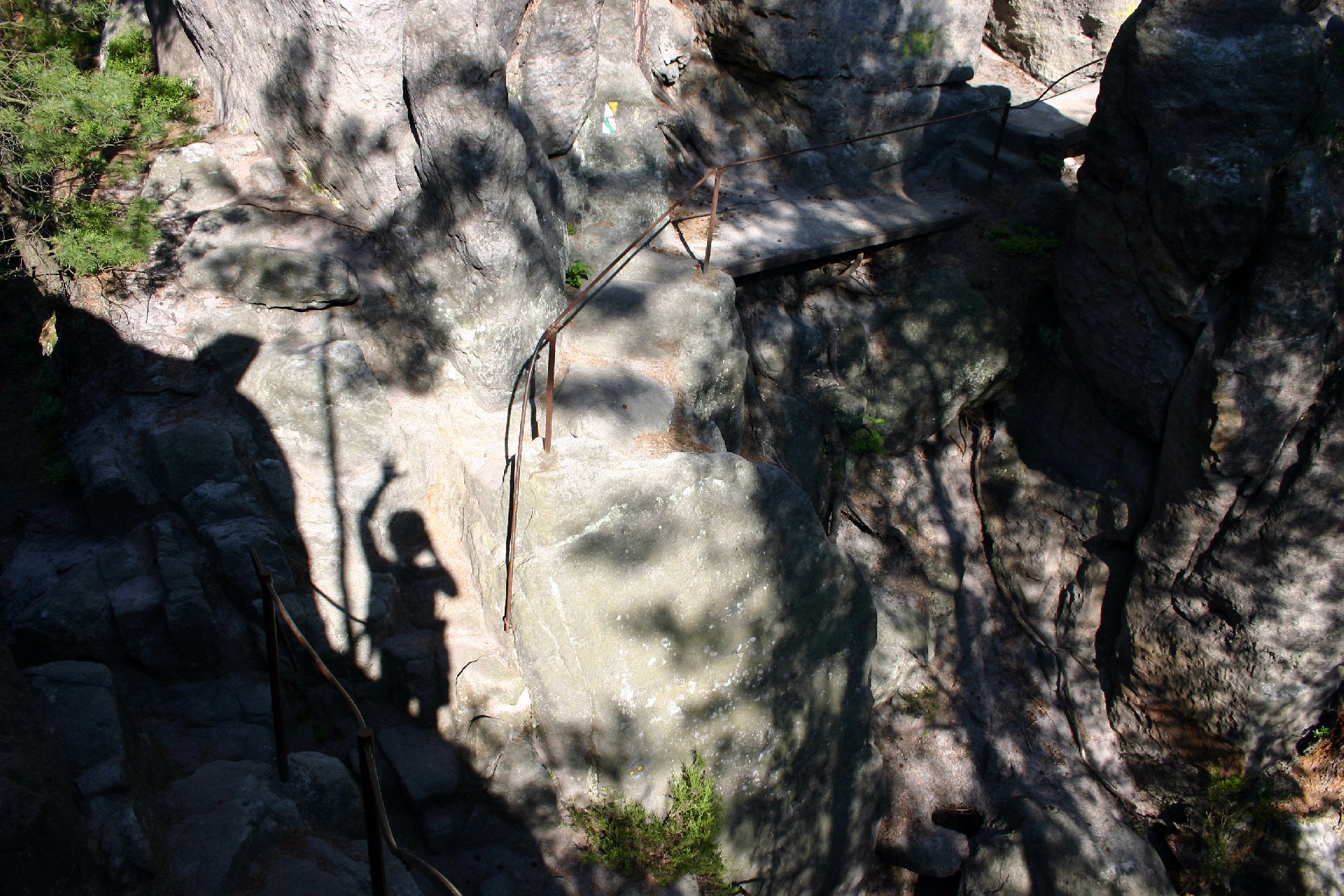 245_4528