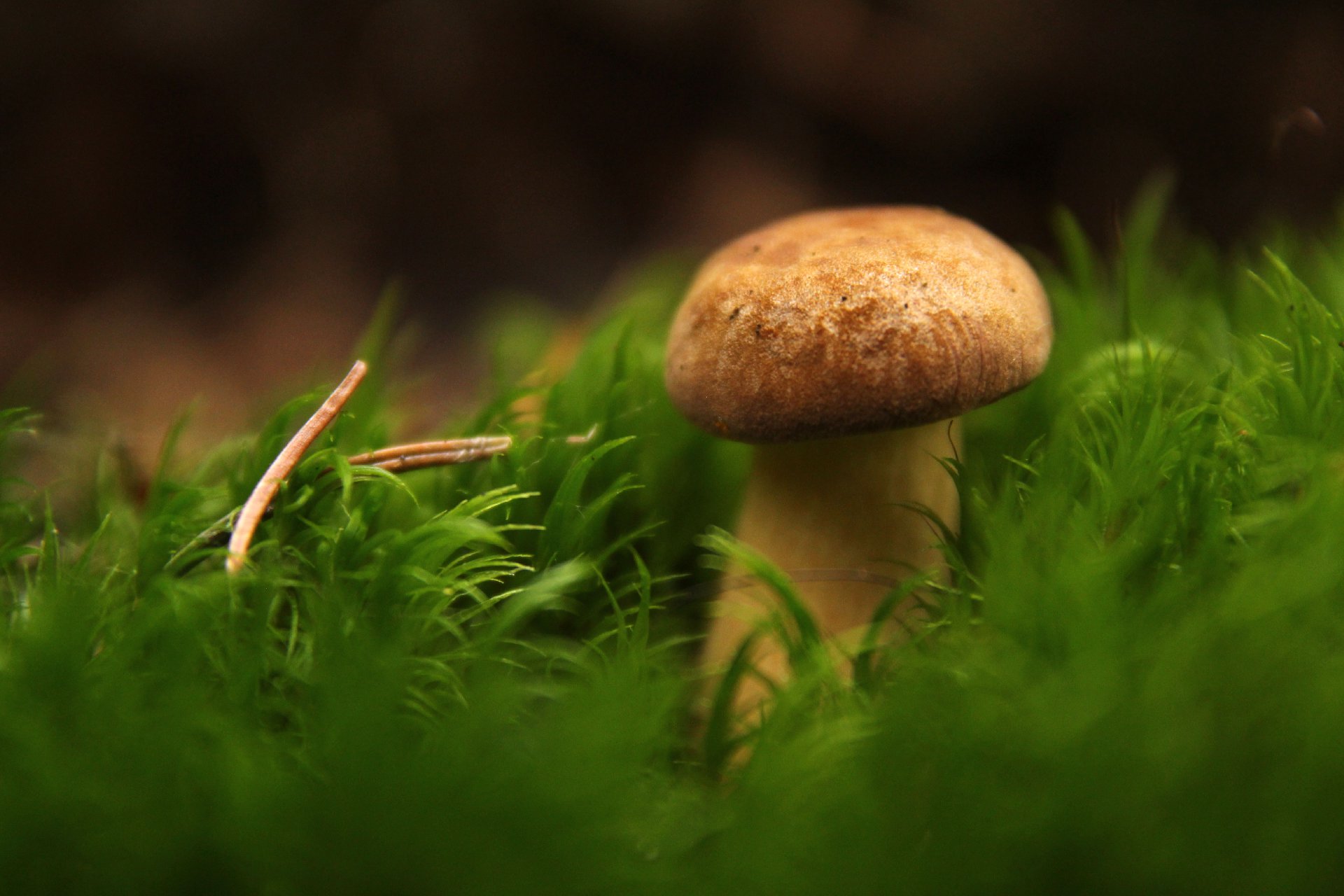 2012_10_06-15_48_46-0164
