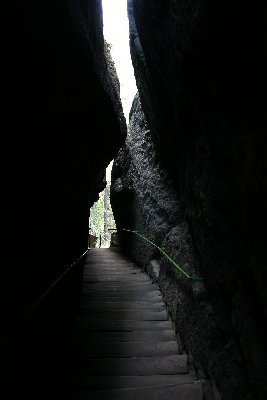 IMG_3325
