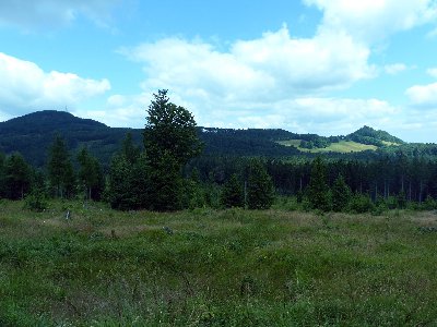 P1010231