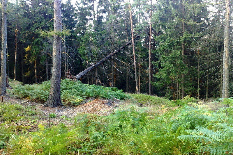 Fotografie z cesty na Tokáň