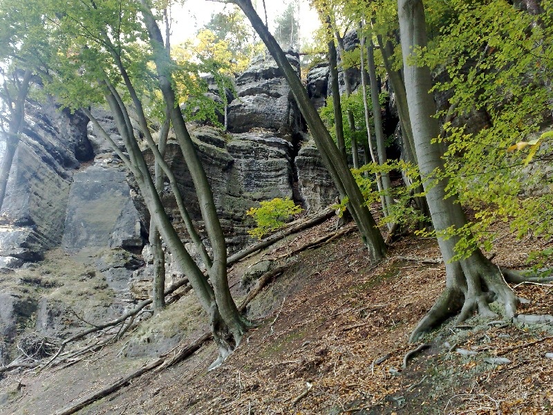 04102008973